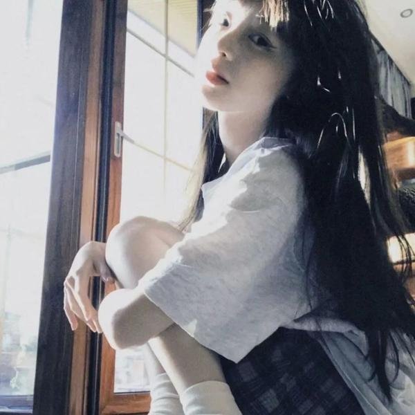 一条狗的回家路